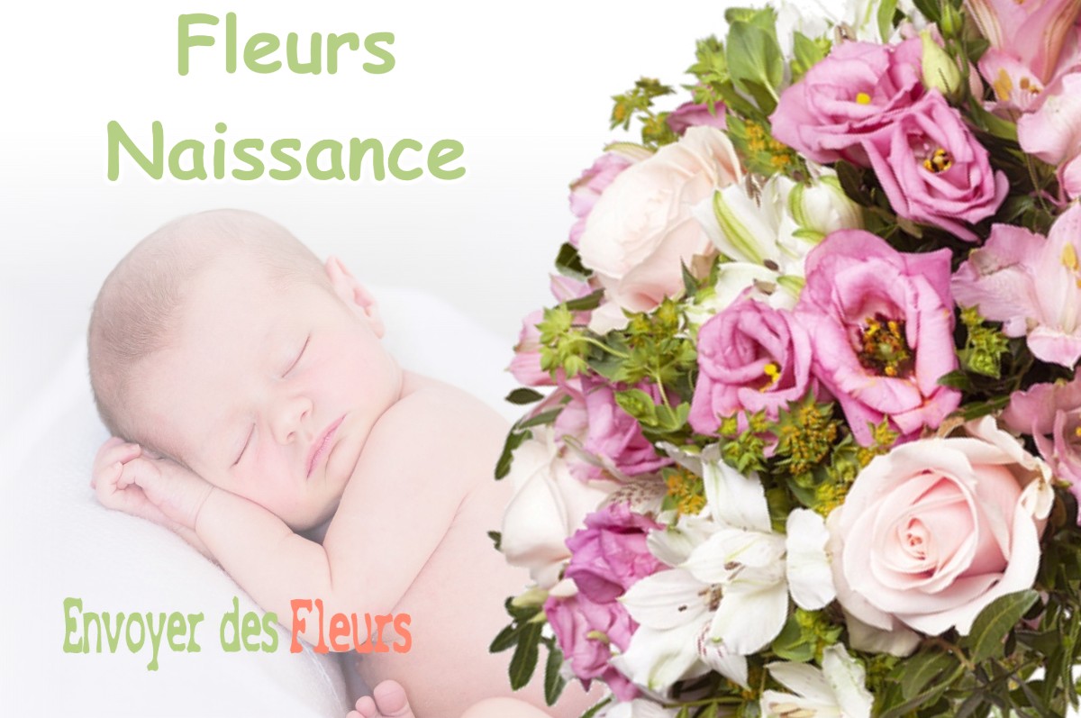 lIVRAISON FLEURS NAISSANCE à OUSSOY-EN-GATINAIS